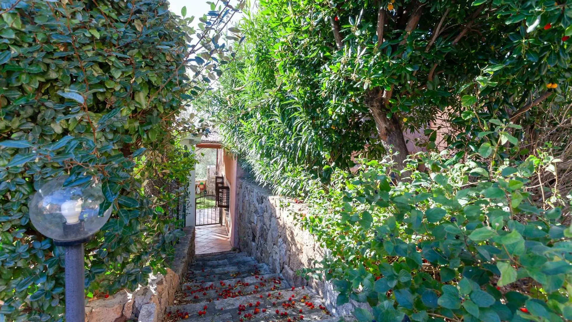 Casa vacanze Villa Casa Teodoro San Teodoro